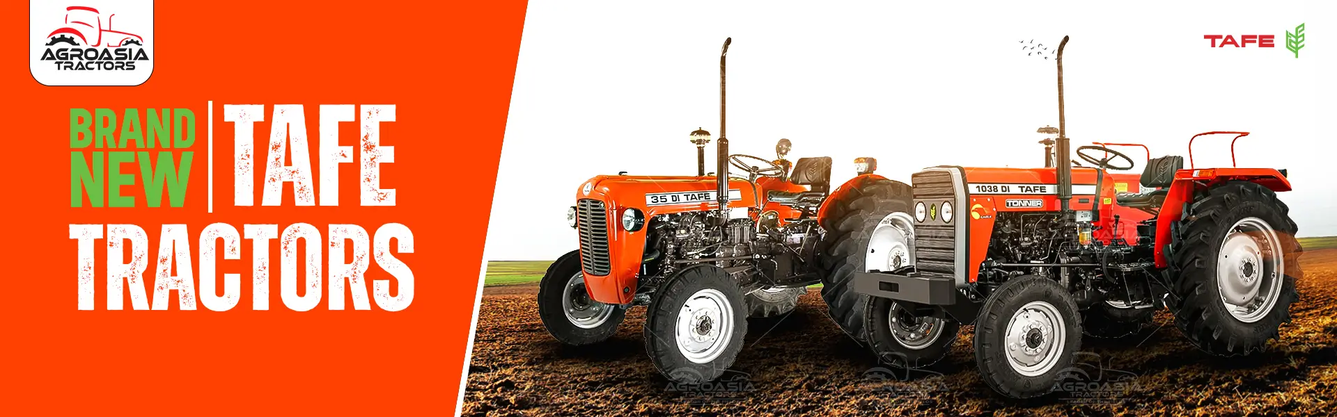 tafe tractors for sale in africa by agroasia tractors